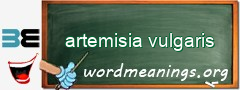 WordMeaning blackboard for artemisia vulgaris